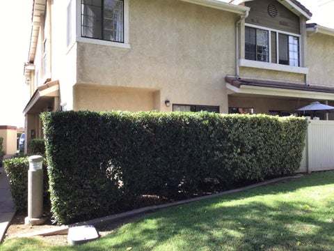 Tiny photo for 10140 Palm Glen Drive #29, Santee, CA 92071 (MLS # PTP2607838)