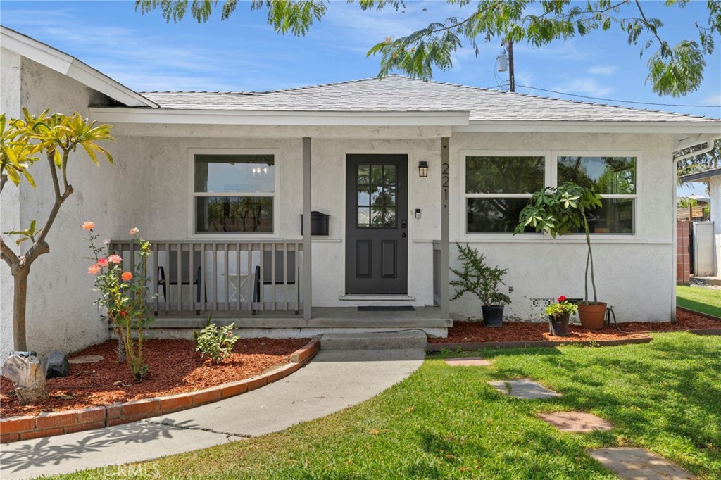 221 Chinchilla Street