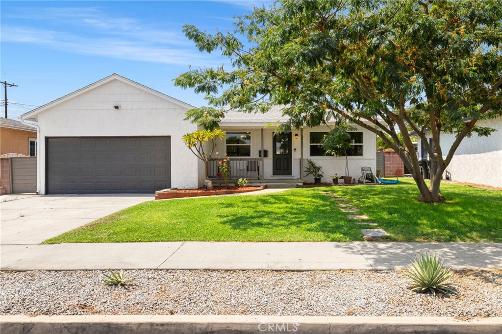 221 Chinchilla Street
