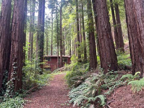 Photo of Boulder Creek, CA 95006 (MLS # ML82052759)