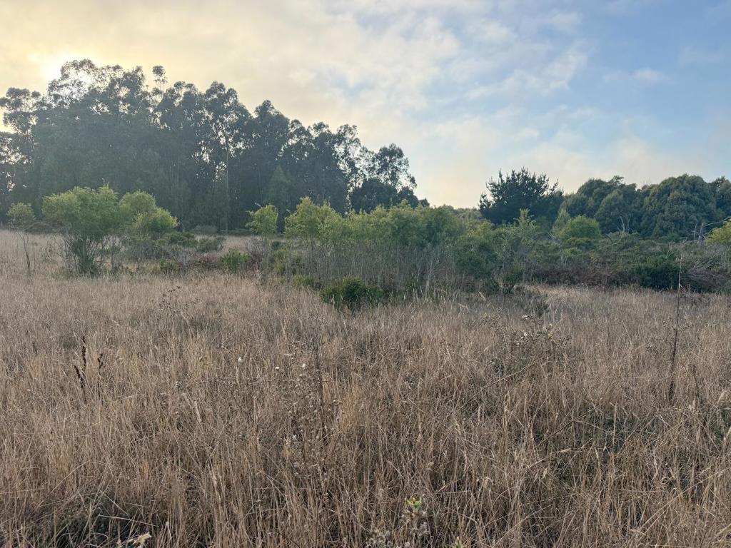0 BONITA Avenue