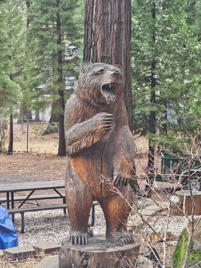 Stirling City, California 95978, United States, 2 Bedrooms Bedrooms, ,3 BathroomsBathrooms,Residential,Active,194637