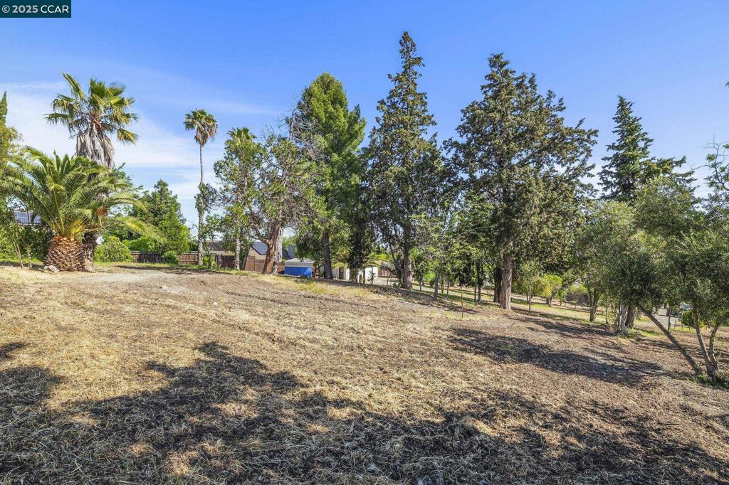AMAZING OPPORTUNITY! Rarely will you find a lot like this! Located in the middle of town on the Walnut Creek/Concord boarder. This property has been passed down through the generations, holding rich history. You can build your dream house or subdivide into 3, possibly 4 lots! There is a private gate to the property, mature trees and a 2 car garage. This property backs to Lime Ridge open space. There is water, sewer and gas on the property! Close to shopping, schools, freeway access, BART and so much more!