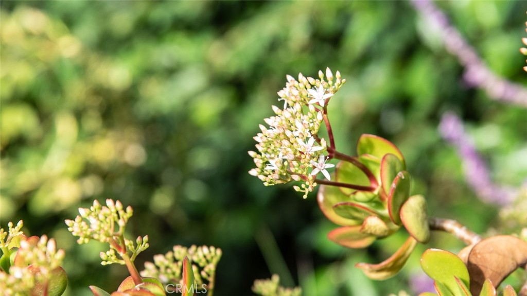 Oak Valley (865) - Residential