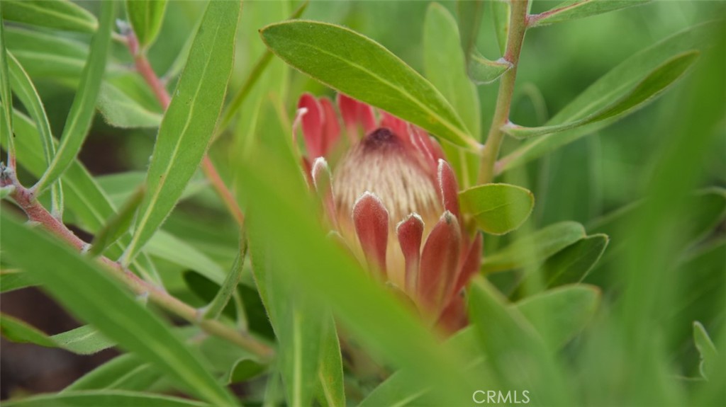 Oak Valley (865) - Residential