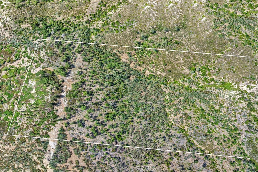 22550 Shady Grove Road