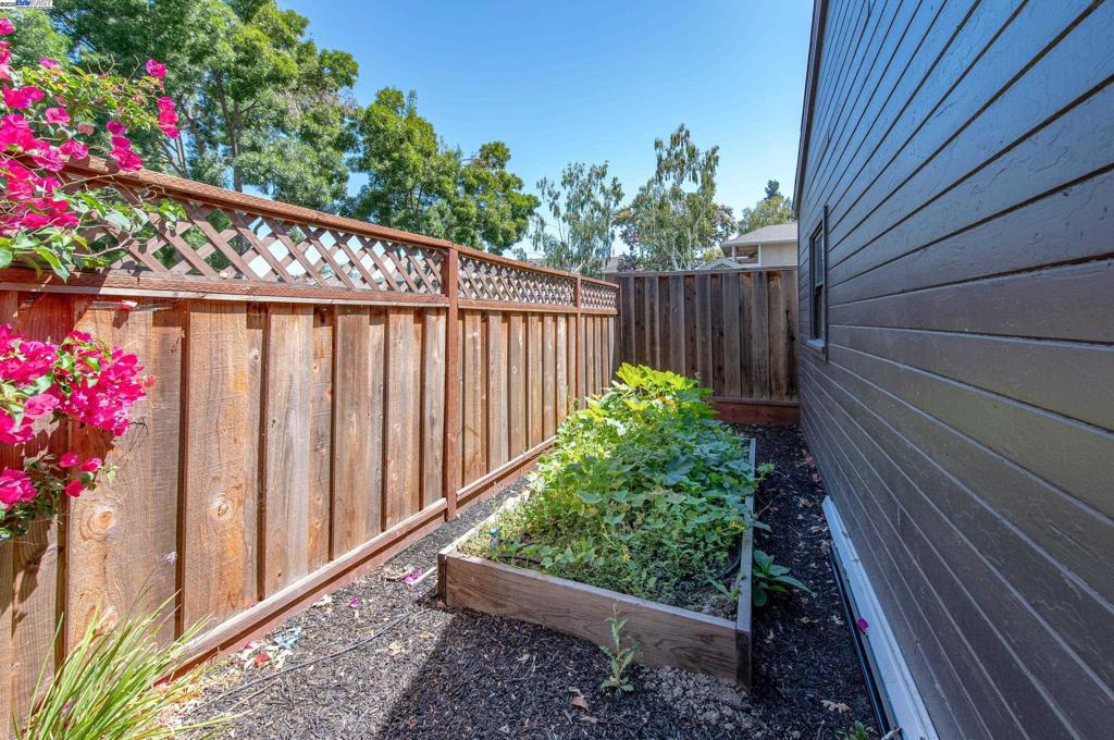 DOWNTOWN PLEAS. - Residential