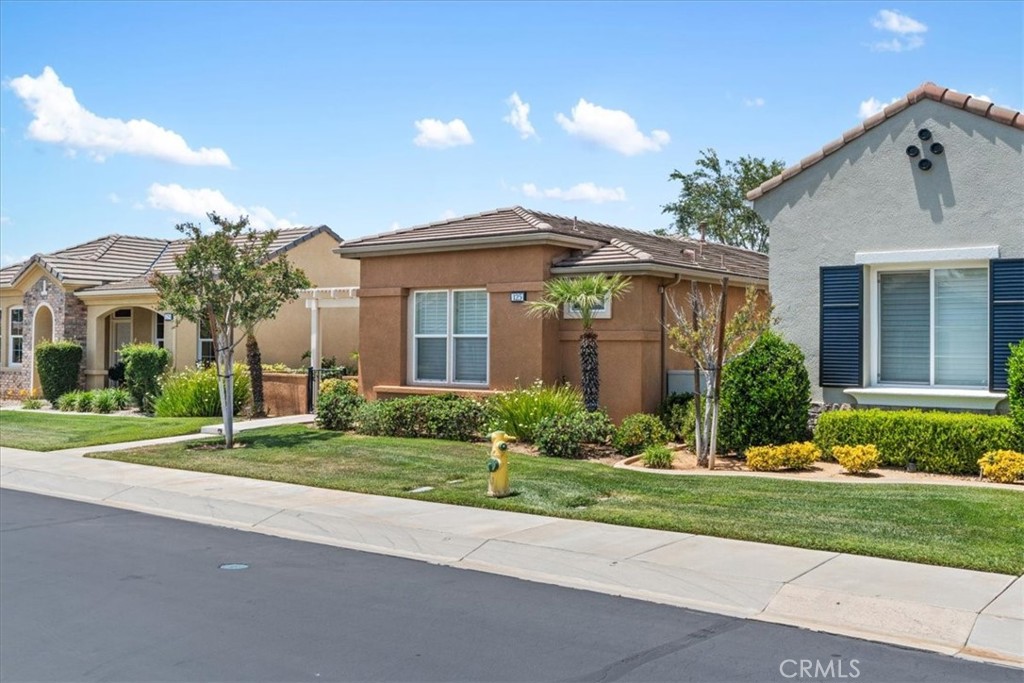 125 Thistle