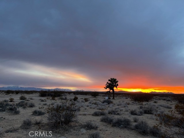 Land in Helendale ready for you! Beautiful views, fenced with an RL-5 zoning. Come see!