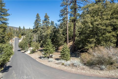 Photo of 1300 Banff Drive, Pine Mountain Club, CA 93222 (MLS # SR26040820)