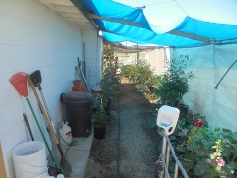 Tiny photo for 949 Wells Street, Blythe, CA 92225 (MLS # 219147549DA)