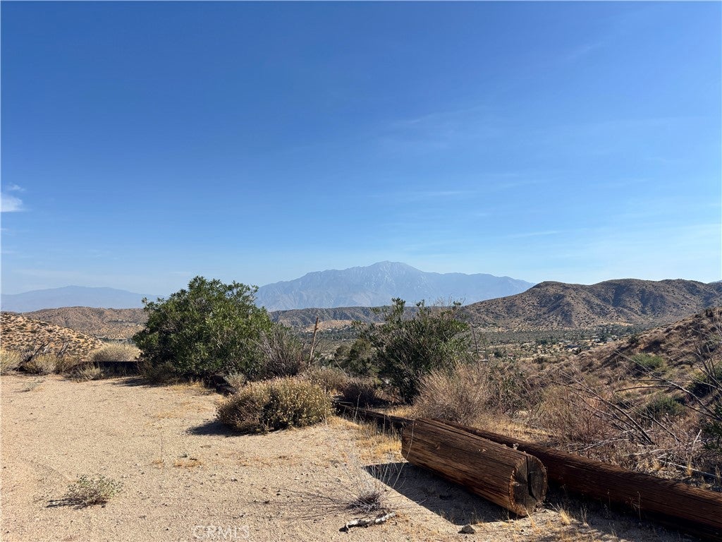49324 Whiteside