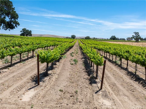 Tiny photo for 5275 Camp 8 Road, Paso Robles, CA 93446 (MLS # NS26112499)