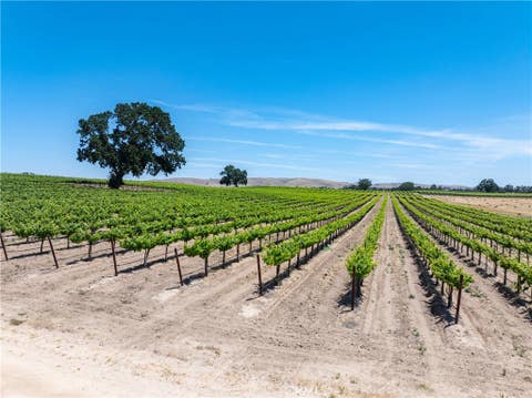 Tiny photo for 5275 Camp 8 Road, Paso Robles, CA 93446 (MLS # NS26112499)