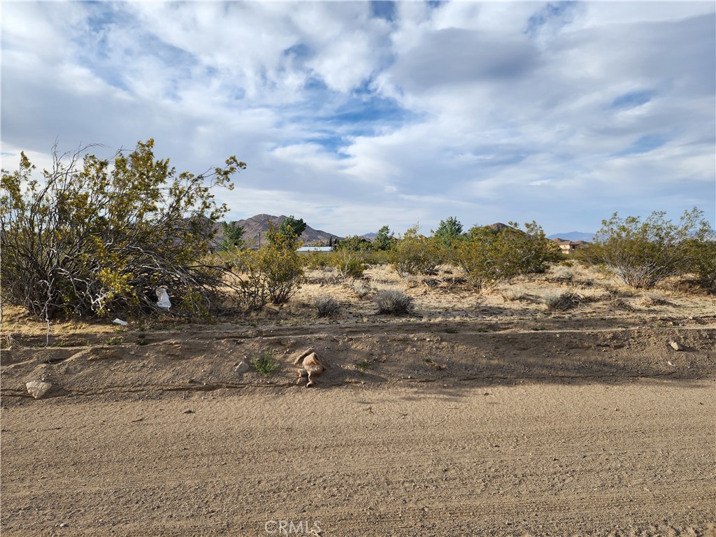 Listing image 8