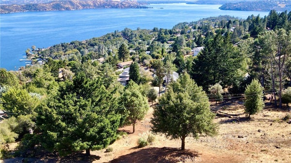 3356 PINE TERRACE DR, KELSEYVILLE, CA 95451 - Image d0f13f14e3e66ff1b4e40dd9775ead9a/3430804932