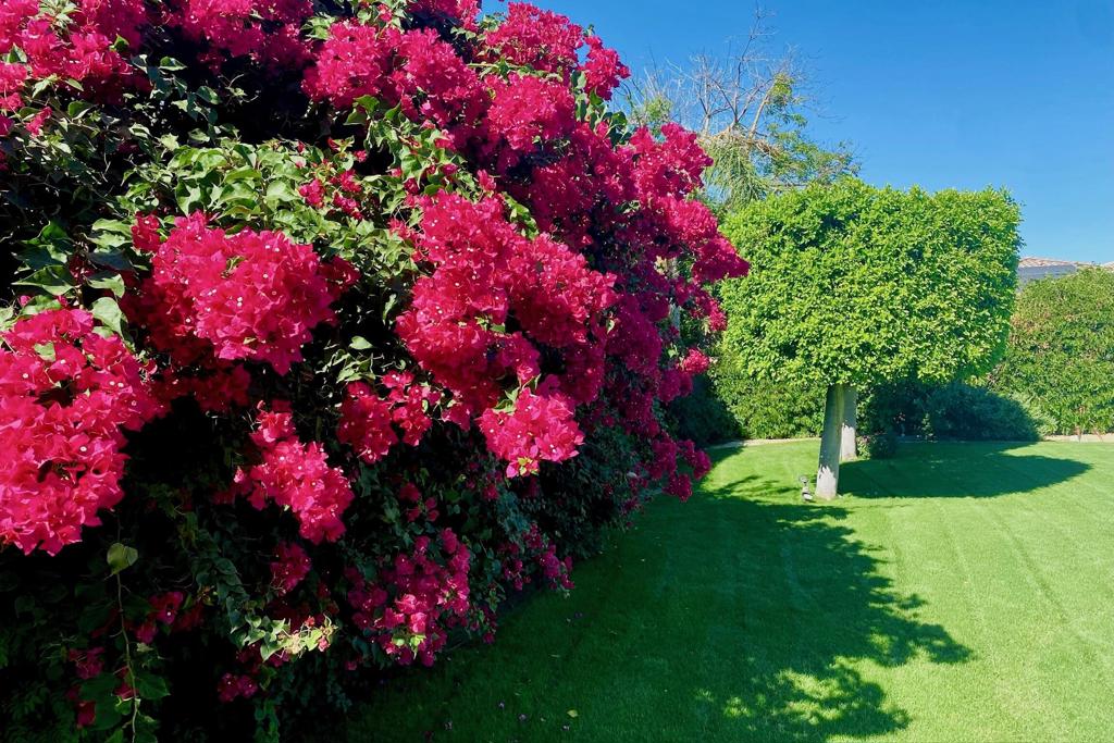 Rancho Paloma - Residential