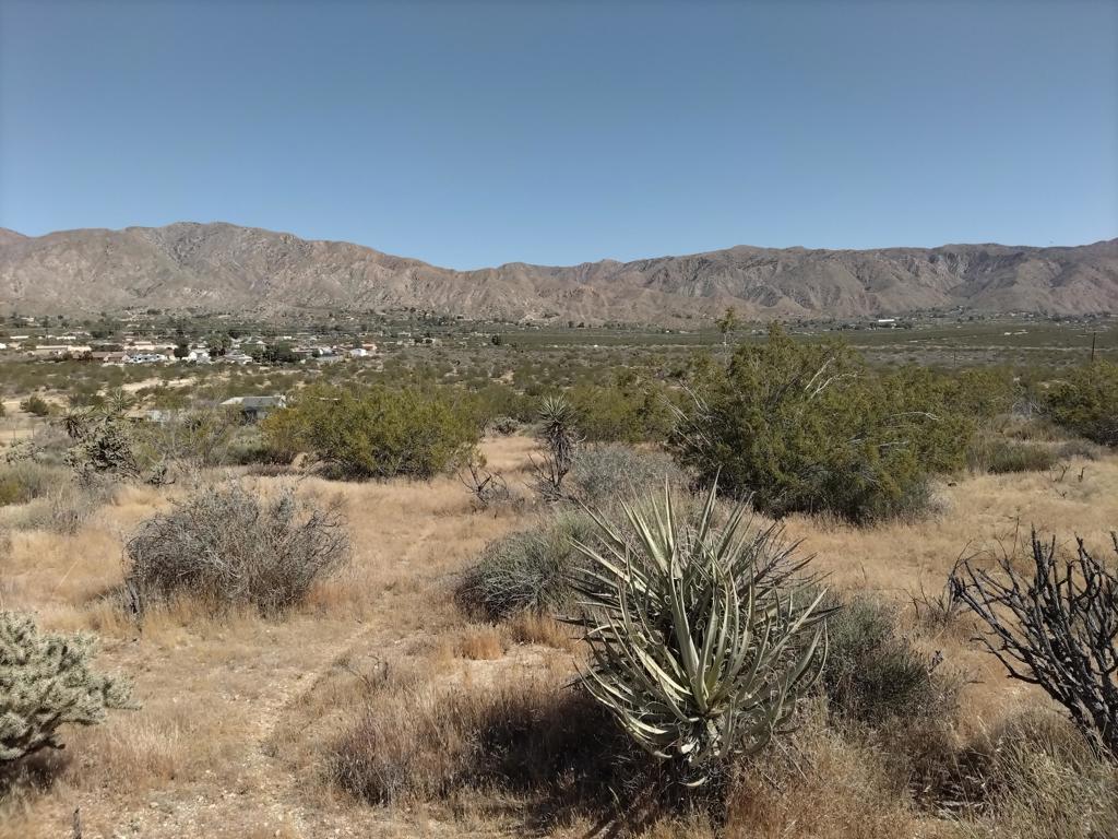 Not Applicable-1 - Land