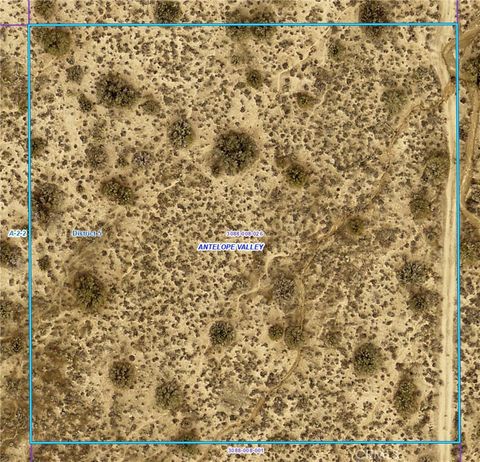 Photo of 258 Avenue X, Llano, CA 93544 (MLS # OC25105703)