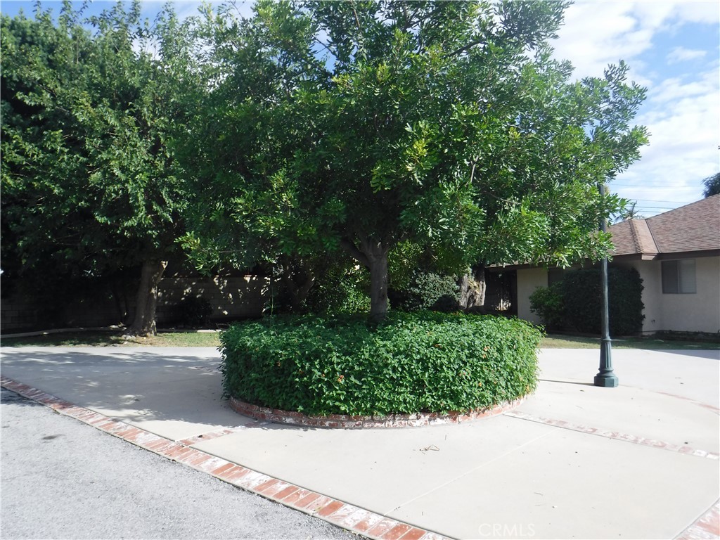 702 W Carroll