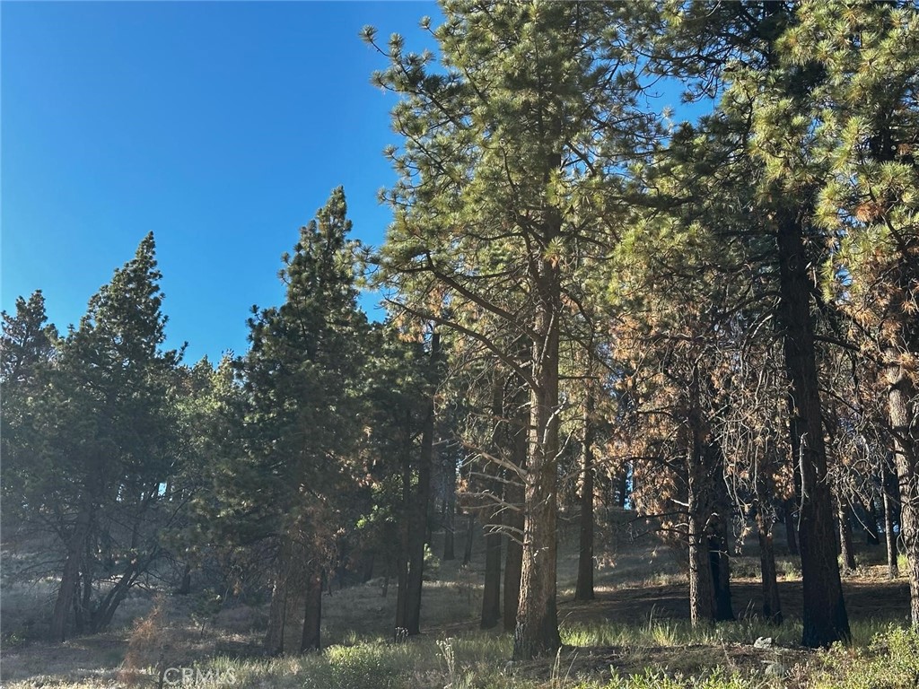 A rare opportunity to own a scenic parcel in Cedar pines Park (APN?034-226-427) nestled in the San Bernardino National Forest at approximately 4,734?ft elevation, just west of Crestline. The property is framed by towering pines, cedars, and seasonal streams in a tranquil, forested setting that’s ideal for a mountain retreat.
Beyond the forest canopy lies a close-knit community anchored by Cedar pines Park’s community center and playground, which hosts events and is available for rental to local residents
. Outdoor enthusiasts will appreciate access to winding hiking trails, including the popular Heart Rock Trail, a family-friendly 1.7-mile hike along Seeley Creek leading to a heart-shaped rock by a cascading waterfall.
Just a short drive brings you to Lake Gregory Regional Park in nearby Crestline, offering swimming, kayaking, fishing, a dog park, summer concerts, and community festivals.
. Crestline Village is within easy reach and provides local grocery, restaurants, coffee shops, a retro bowling alley and seasonal events that give the area its welcoming mountain-town vibes.
Living here means embracing four-season outdoor living—from scenic forest trails and birdwatching to winter snowfall and clear, starry nights. While services such as groceries, gas, and insurance come at a modest premium due to elevation, residents rave about the community charm and beautiful natural surroundings.
This property is ready for your vision—dream holiday cabin, permanent mountain home or long-term investment. Utilities are typically available nearby and access is via county-maintained roads. Build your dream in one of Southern California’s most captivating mountain communities.