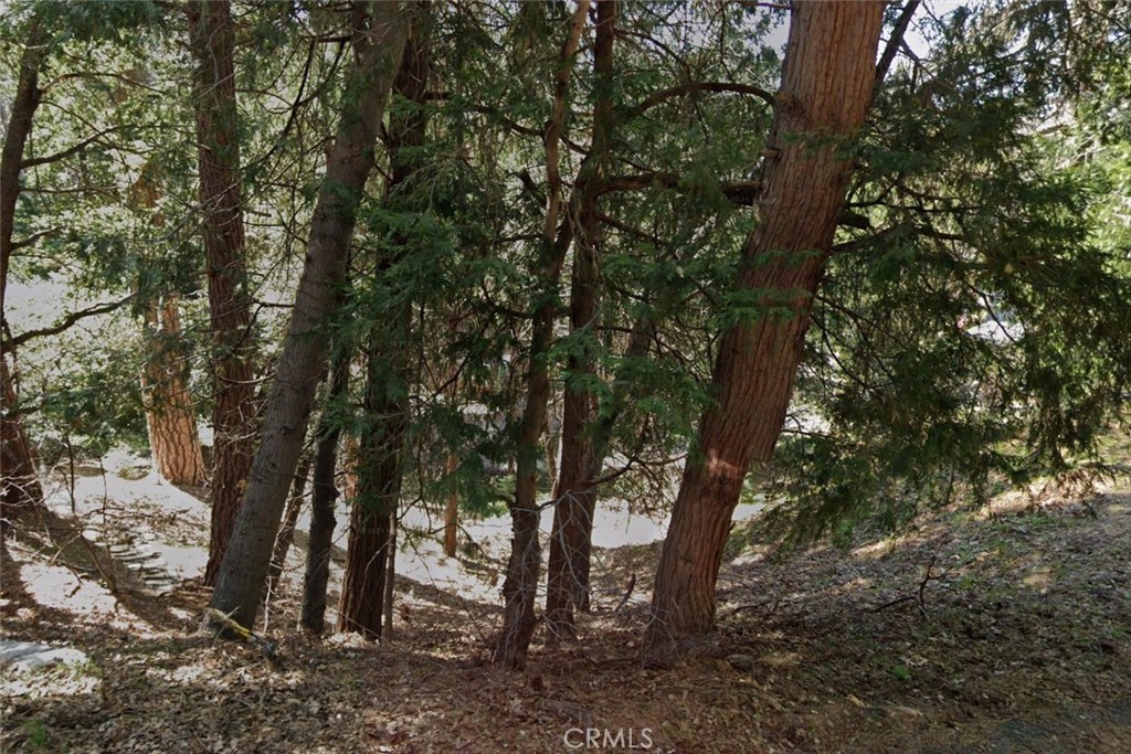 A rare opportunity to own a scenic parcel in Cedar pines Park (APN?034-226-427) nestled in the San Bernardino National Forest at approximately 4,734?ft elevation, just west of Crestline. The property is framed by towering pines, cedars, and seasonal streams in a tranquil, forested setting that’s ideal for a mountain retreat.
Beyond the forest canopy lies a close-knit community anchored by Cedar pines Park’s community center and playground, which hosts events and is available for rental to local residents
. Outdoor enthusiasts will appreciate access to winding hiking trails, including the popular Heart Rock Trail, a family-friendly 1.7-mile hike along Seeley Creek leading to a heart-shaped rock by a cascading waterfall.
Just a short drive brings you to Lake Gregory Regional Park in nearby Crestline, offering swimming, kayaking, fishing, a dog park, summer concerts, and community festivals.
. Crestline Village is within easy reach and provides local grocery, restaurants, coffee shops, a retro bowling alley and seasonal events that give the area its welcoming mountain-town vibes.
Living here means embracing four-season outdoor living—from scenic forest trails and birdwatching to winter snowfall and clear, starry nights. While services such as groceries, gas, and insurance come at a modest premium due to elevation, residents rave about the community charm and beautiful natural surroundings.
This property is ready for your vision—dream holiday cabin, permanent mountain home or long-term investment. Utilities are typically available nearby and access is via county-maintained roads. Build your dream in one of Southern California’s most captivating mountain communities.