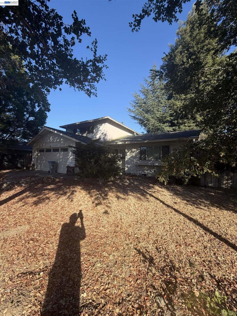 1174 Forest Creek Dr