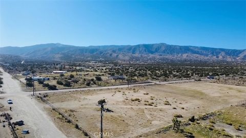 Photo of 2770 White Fox Trl, Phelan, CA 92371 (MLS # IV26028633)