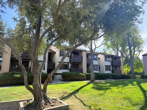 Photo of 765 San Antonio Road #48, Palo Alto, CA 94303 (MLS # ML82037995)