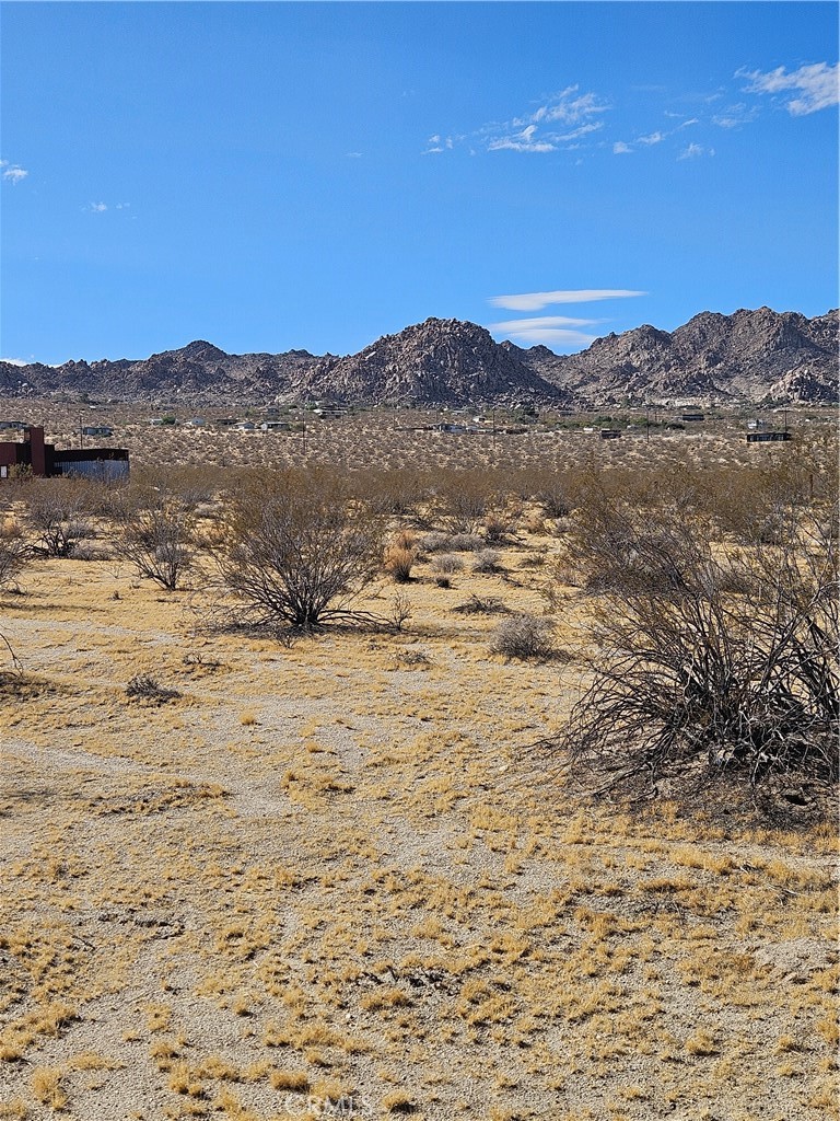 0 Twentynine Palms Highway