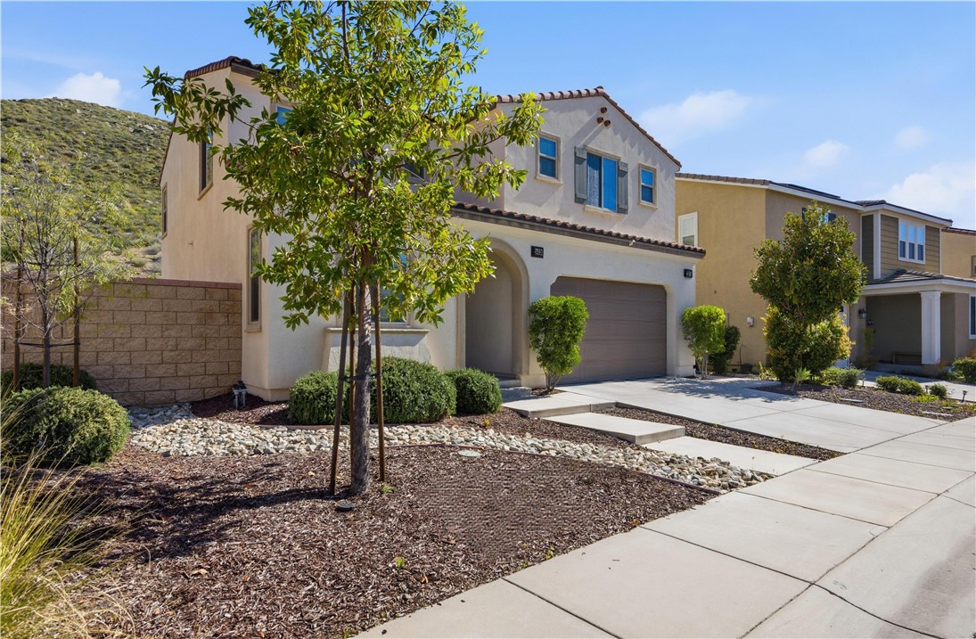 24526 Snapdragon Way