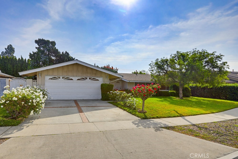 11532 Baggett