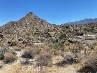 15 Desert Calico Way