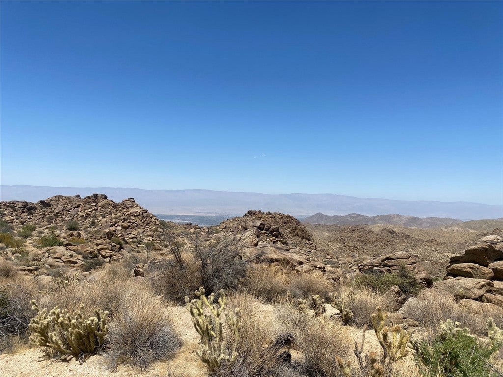 15 Desert Calico Way