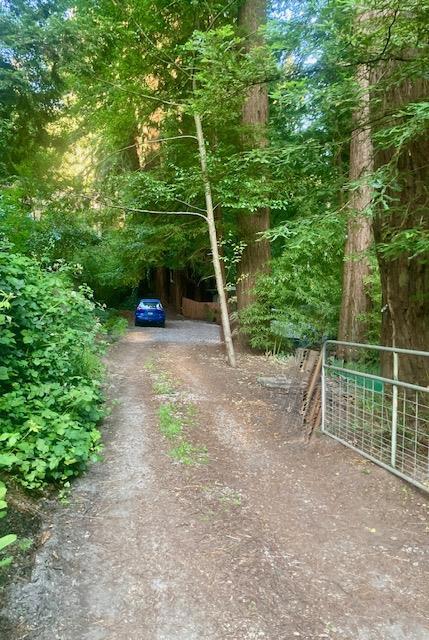 Private lovely setting and peaceful back yard up against the Redwoods and view down to the creek bed. Home has two bedrooms, one with pass through door to bathroom and bonus side room for office or special interests. Bedrooms are at opposite sides of the house for privacy. Large laundry closet building with extra space for other possibilities. Wood stove plus propane heating. Close to town but not too close. Lots of private parking - gate at entry and to side neighbors' road access to Hwy. 9. Mostly flat large lot. Really cute house waiting for you to make it yours!