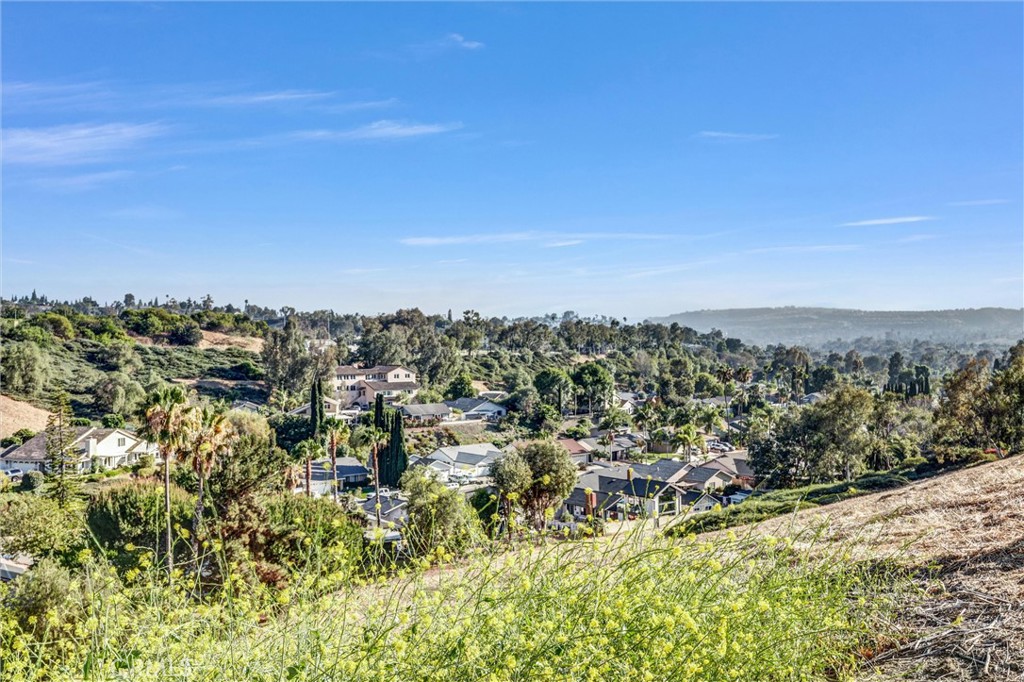 25594 Paseo La Cresta