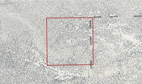 Photo of 37 th Street West & Avenue D12, Lancaster, CA 93536 (MLS # 219152284DA)
