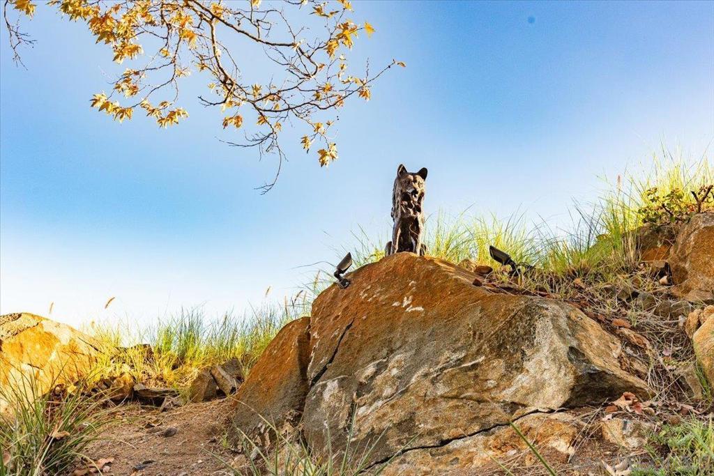 North Escondido - Residential