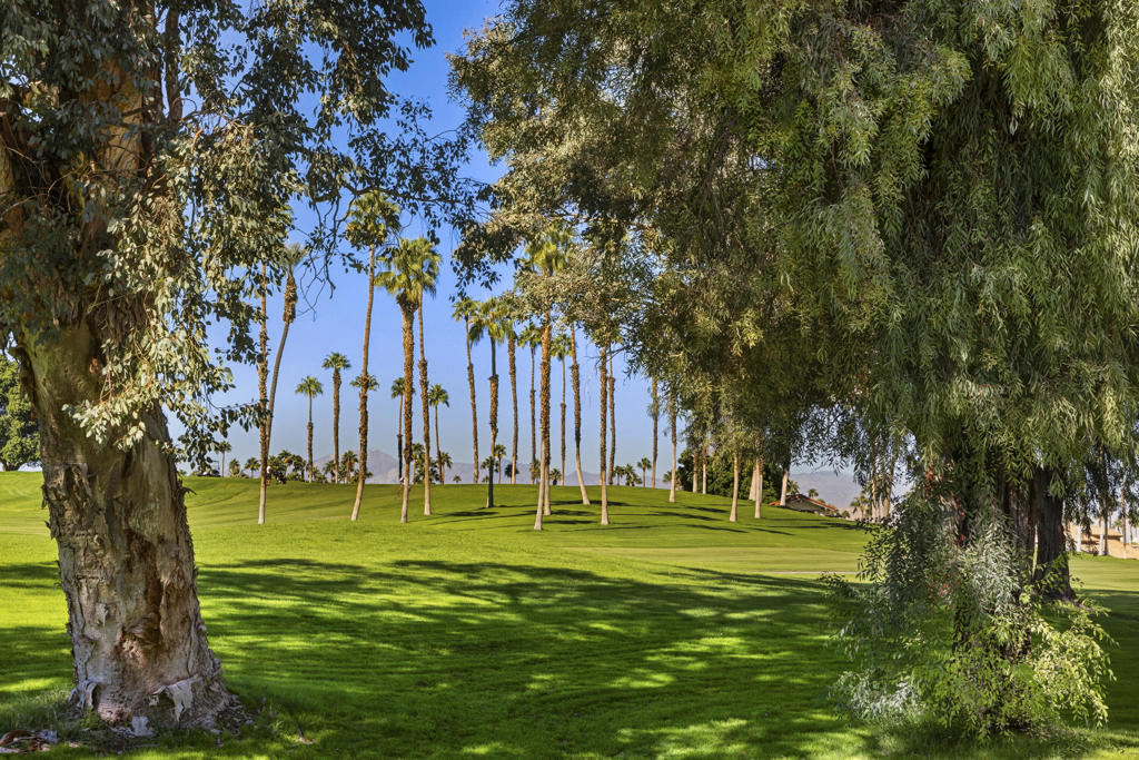 Desert Falls C.C. - Residential Lease