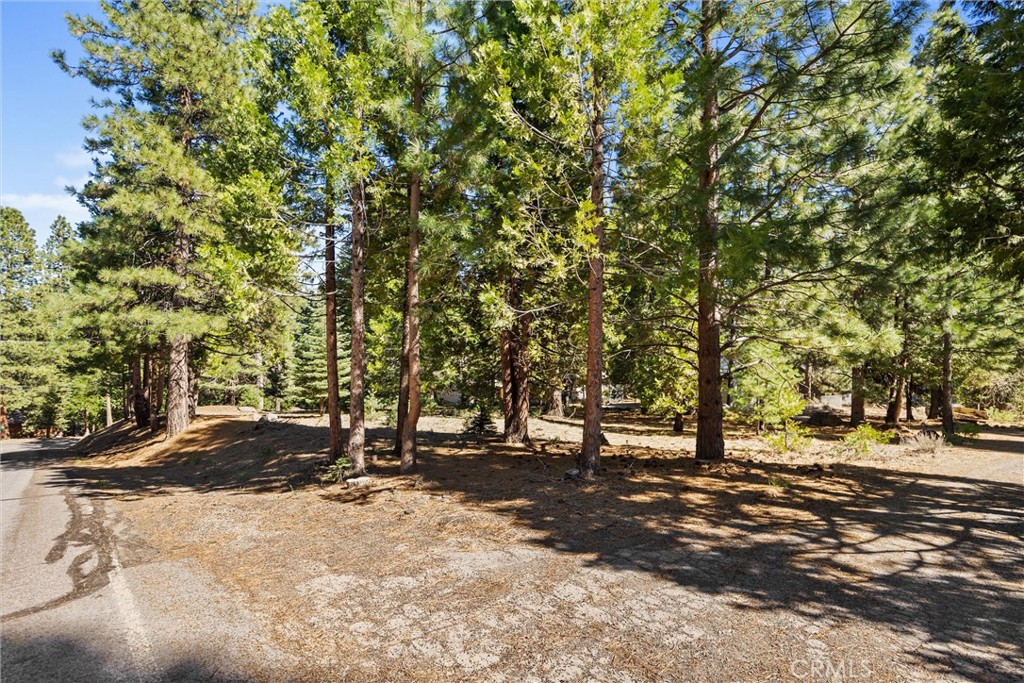 701 Lake Ridge Road