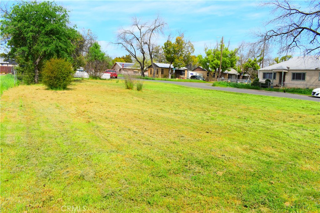 Come and check this out! This 0.11 acre corner lot is flat, usable, and ready for your plans! The scattered trees offer a nice touch for future landscaping and summer shade. And what looks to be a couple of fruit trees...?!? (Buyer to verify to satisfaction) Being a corner lot and having an ally means no neighbors on 3 sides!!!! Located just minutes from shopping, recreation, health care, restaurants and 2 casinos...this is a perfect blank canvas! Public water and sewer avail. Power at the street. Located on the corner of Spencer and Fort Wayne. Get your offer in today!