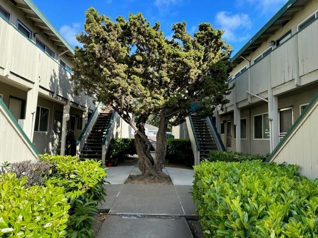 Completely remodeled ground floor unit with quartz counters, custom kitchen cabinets, new luxury vinyl flooring and new appliances including gas stove. In addition, this unit features a remodeled bath, new lighting, new window coverings and double pane window. In addition, there is a one car carport storage and coin op laundry on site. Application documents to include copy of pay stub (or job offer letter), credit report (700+ score), complete application from all adults, current landlord verification form. Renters insurance is required.