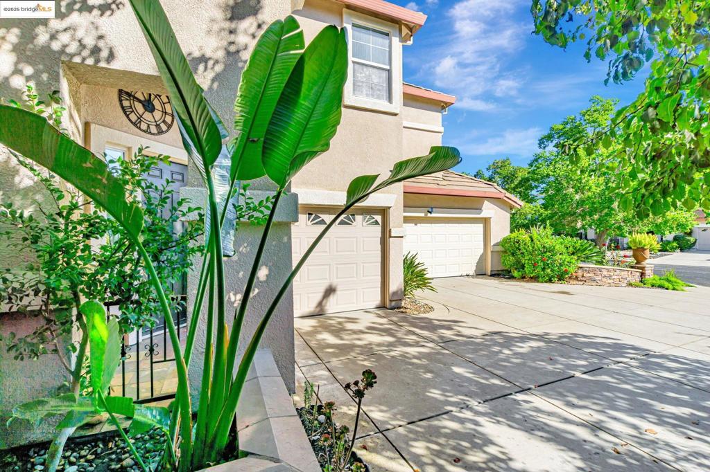 2665 Torrey Pines Dr