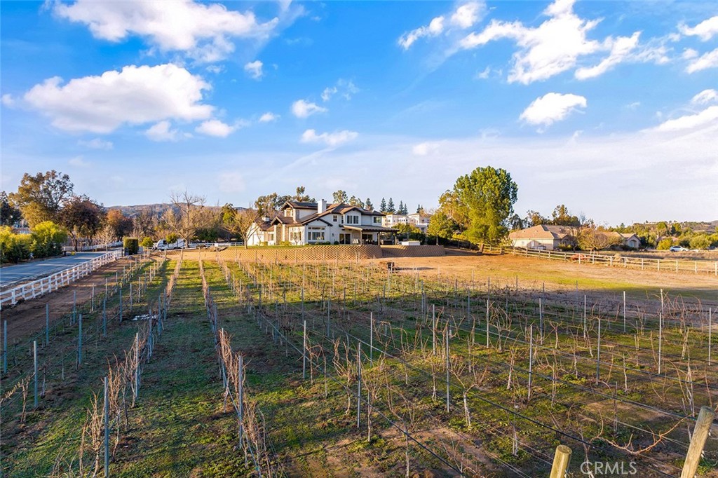 39550 Calle De Companero