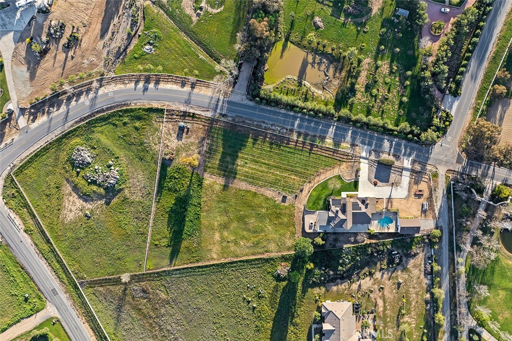 39550 Calle De Companero