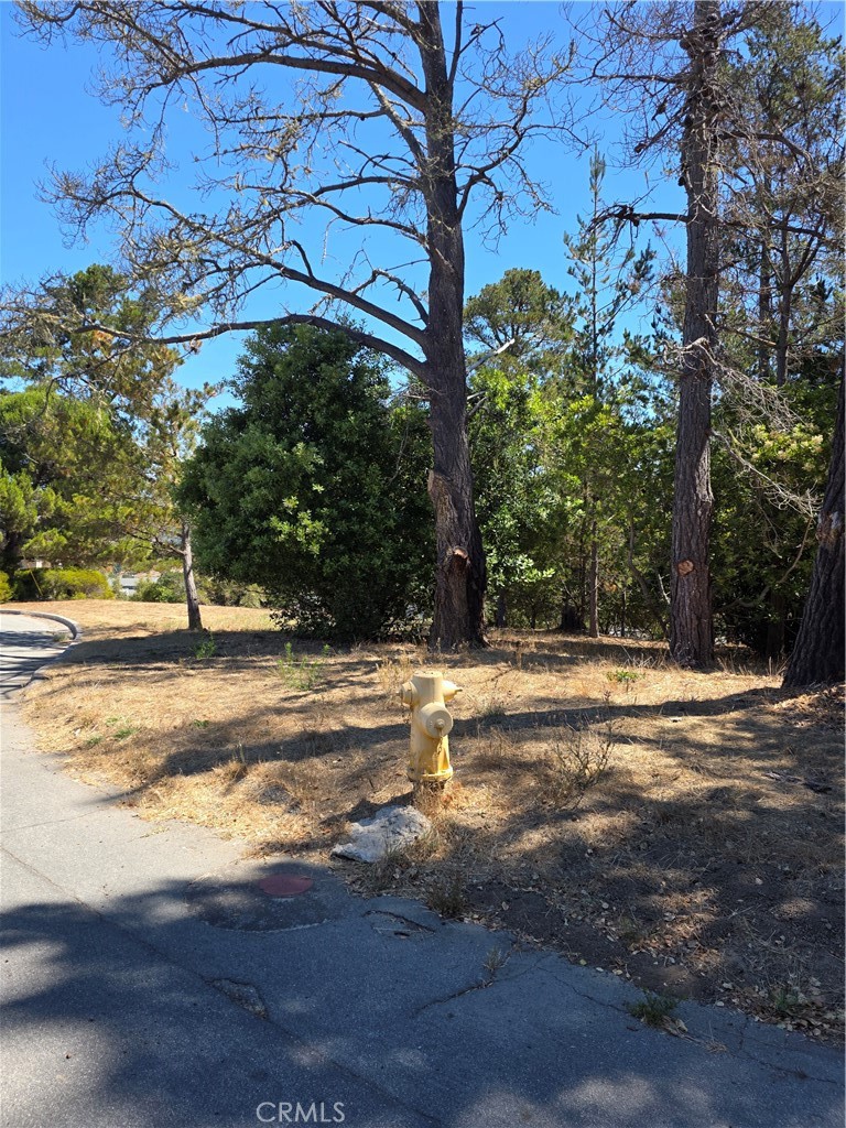 Lodge Hill(430) - Land