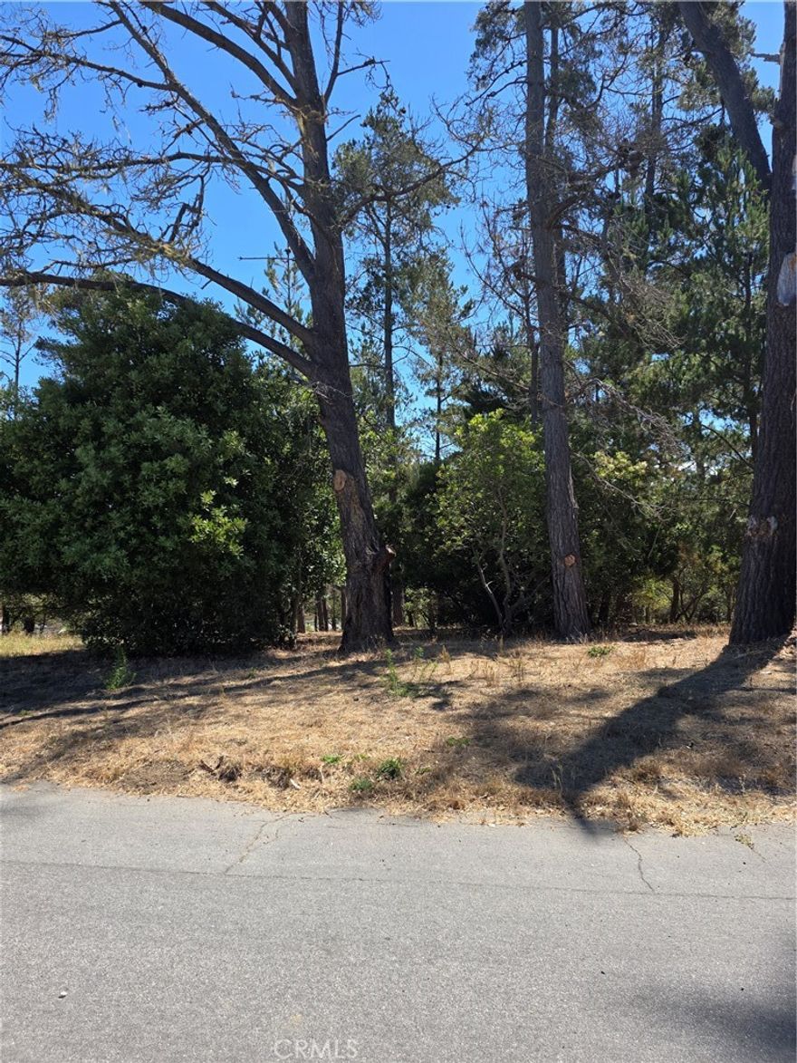Here's your chance to invest in your future. This parcel has a CCSD water wait list position of #196. Call your agent to find out more details about future development