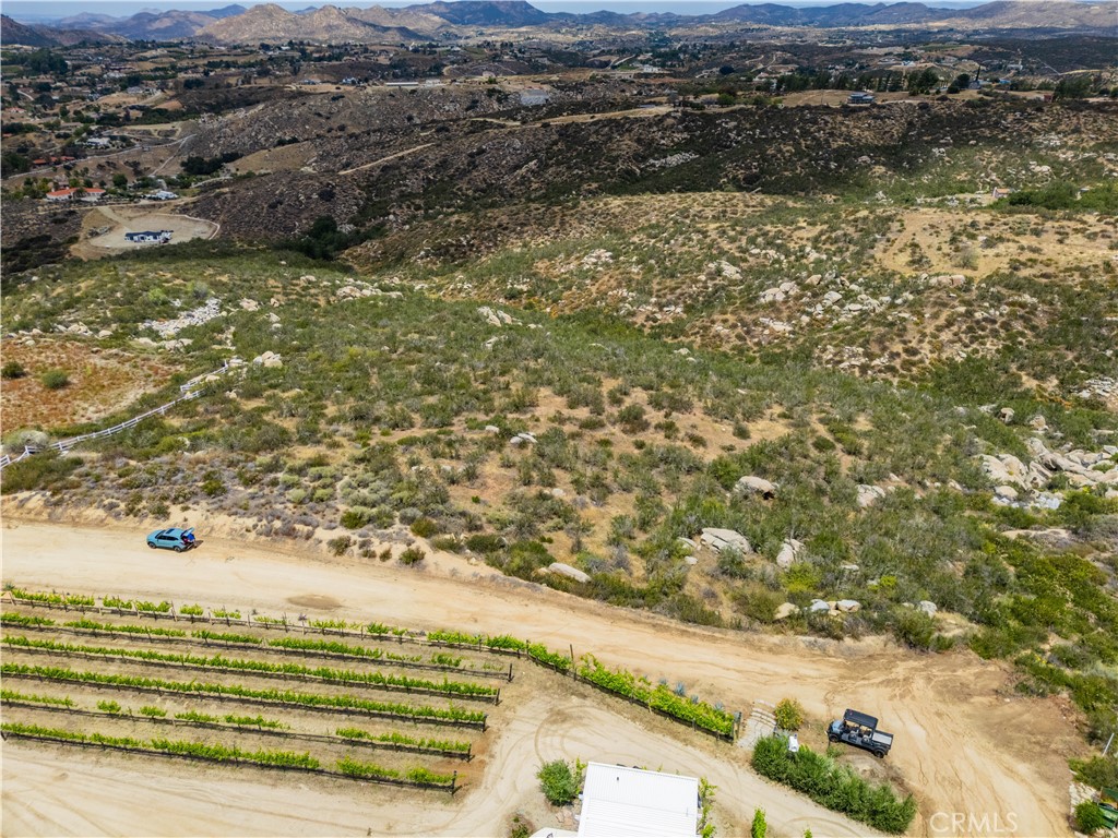 1 Gray Squirrel Road