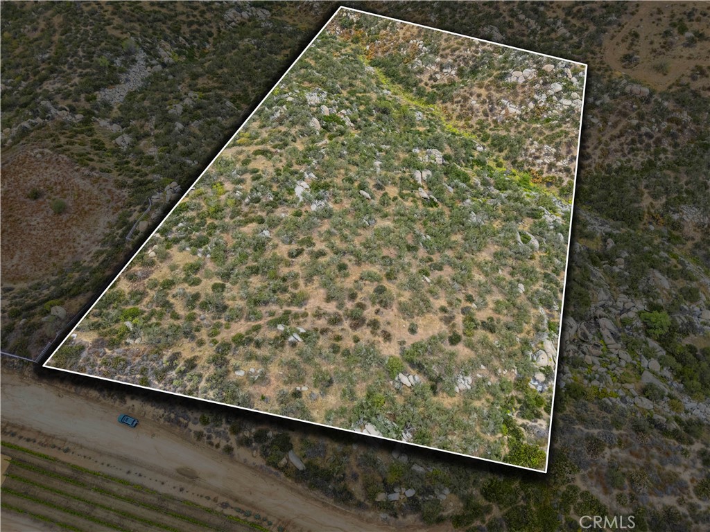 1 Gray Squirrel Road