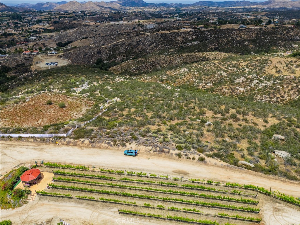 1 Gray Squirrel Road